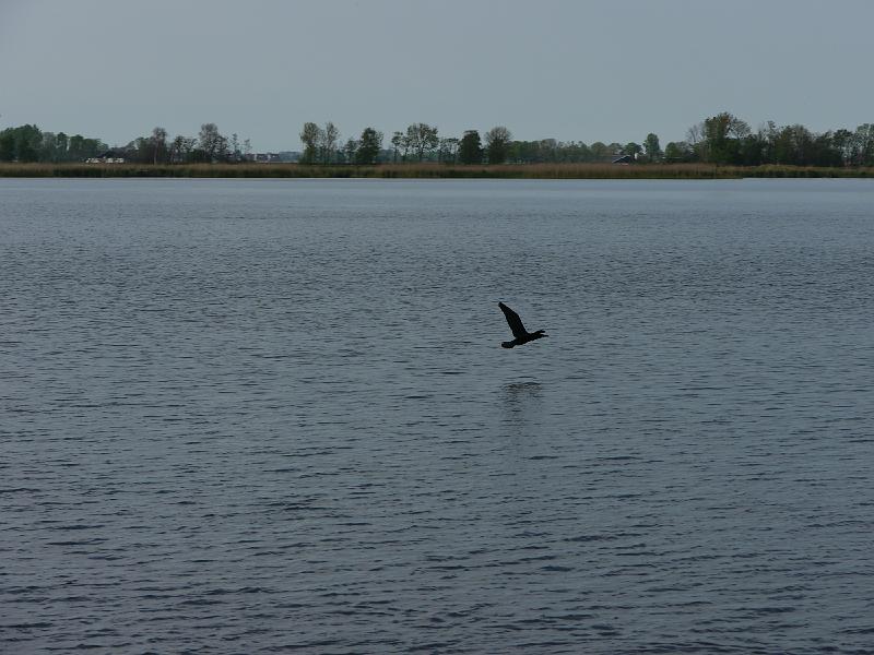 2016.05 Fryslan Bootstour - 42.jpg